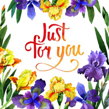 Kır çiçeği Iris çiçek çerçeve izole bir suluboya tarzında.