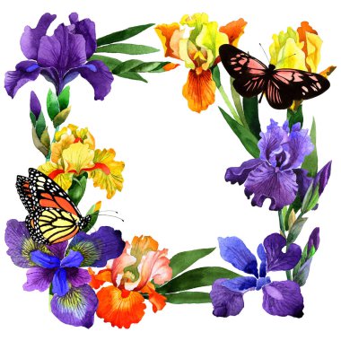 Kır çiçeği Iris çiçek çerçeve izole bir suluboya tarzında.