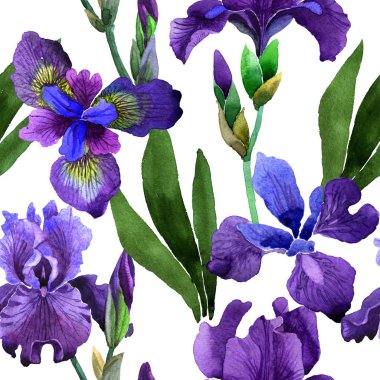 Kır çiçeği Iris çiçek deseni izole bir suluboya tarzında.