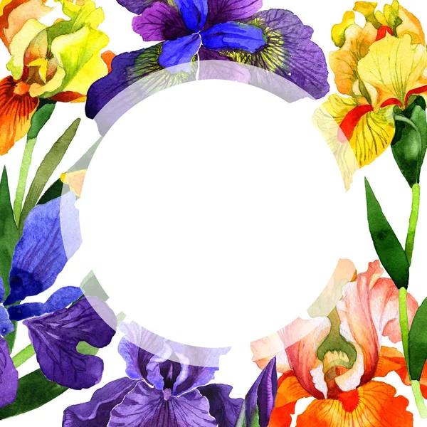 Marco de flores de iris de flor silvestre en un estilo de acuarela aislado . —  Fotos de Stock