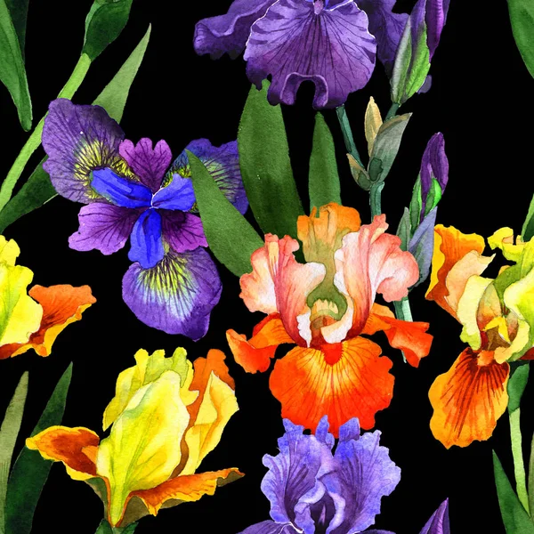 Wildblume Iris Blumenmuster in einem Aquarell-Stil isoliert. — Stockfoto