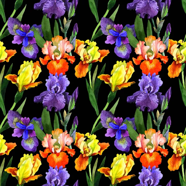 Patrón de flores de iris de flor silvestre en un estilo de acuarela aislado . — Foto de Stock