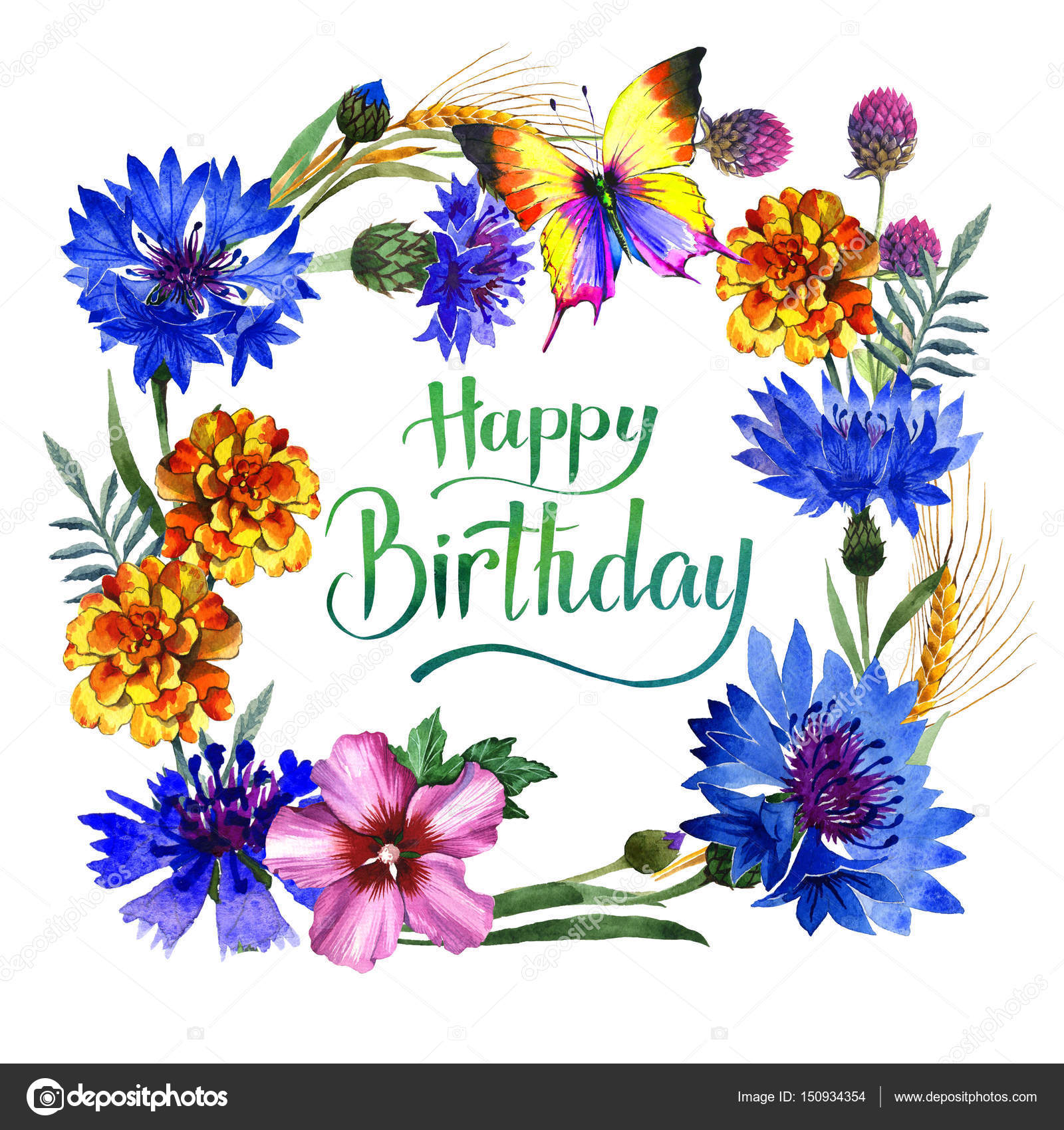 Wildflower carnation flower frame in a watercolor style isolated. Stock