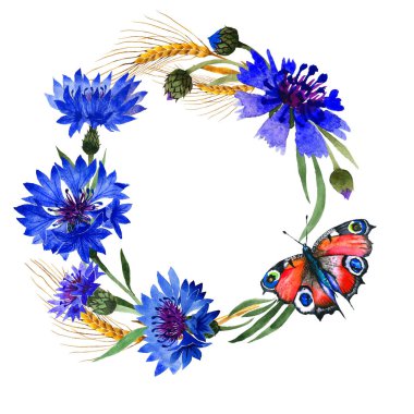 Kır çiçeği karanfil çiçek çerçeve izole bir suluboya tarzında.