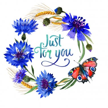 Kır çiçeği karanfil çiçek çerçeve izole bir suluboya tarzında.