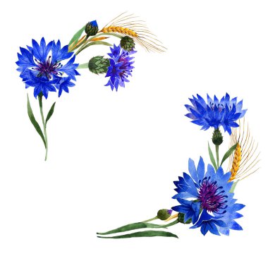 Kır çiçeği karanfil çiçek çerçeve izole bir suluboya tarzında.