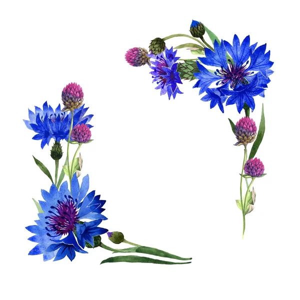 Wildflower obalečem květinový rámeček ve stylu akvarelu, samostatný. — Stock fotografie
