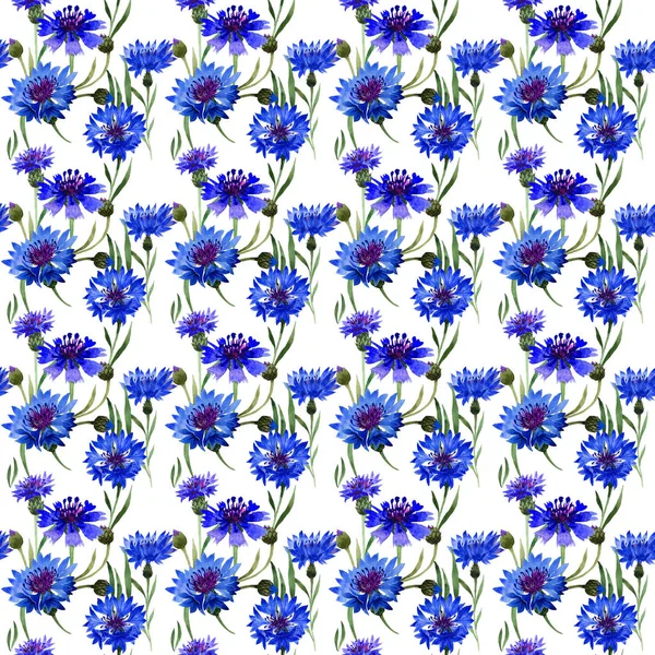 Wildflower carnation flower pattern in a watercolor style isolated. — Stock Photo, Image