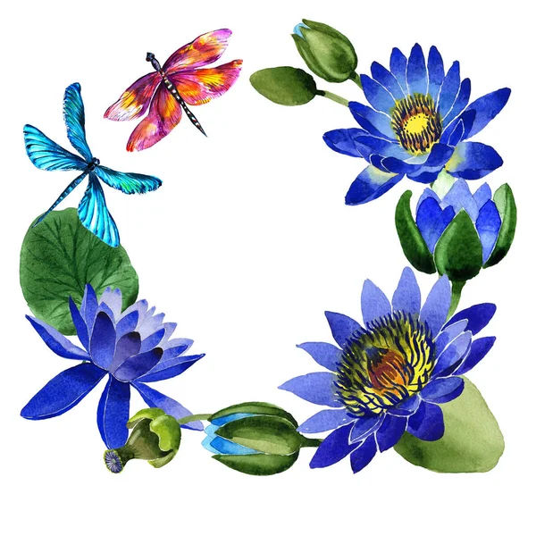 Wildflower μπλε λουλούδι λωτού καρέ σε στυλ υδροχρώματος απομονωμένες. — Φωτογραφία Αρχείου