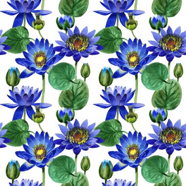 Kır çiçeği mavi lotus çiçek deseni izole bir suluboya tarzında.