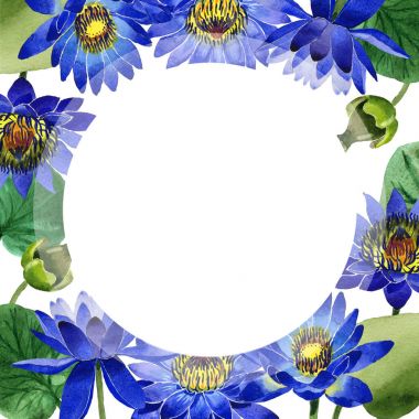Kır çiçeği mavi lotus çiçek çerçeve izole bir suluboya tarzında.