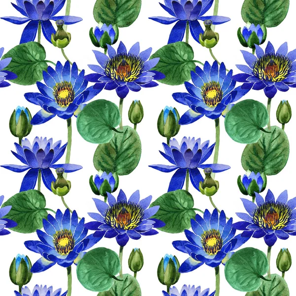 Wildflower niebieski Lotos kwiatki w stylu przypominającym akwarele na białym tle. — Zdjęcie stockowe