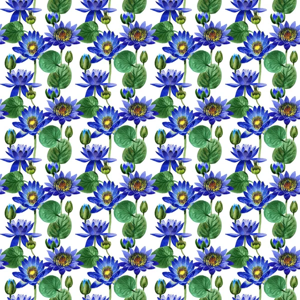 Padrão de flor de lótus azul Wildflower em um estilo de aquarela isolado . — Fotografia de Stock