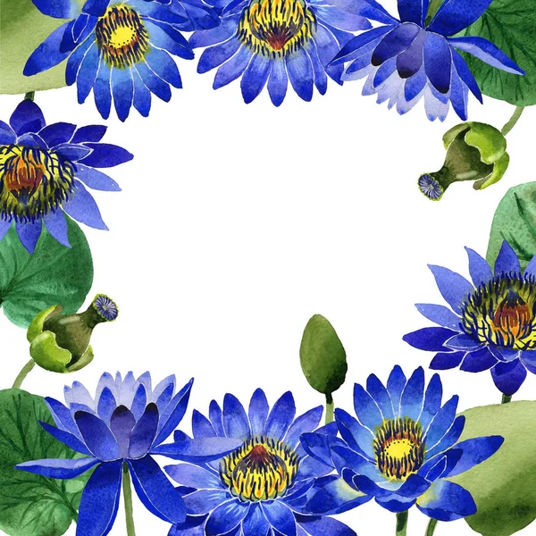 Kır çiçeği mavi lotus çiçek çerçeve izole bir suluboya tarzında. — Stok fotoğraf