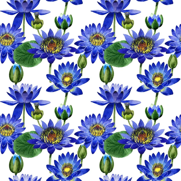Modèle de fleur de lotus bleu fleur sauvage dans un style aquarelle isolé . — Photo