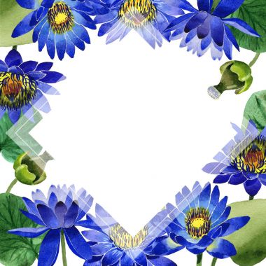 Kır çiçeği mavi lotus çiçek çerçeve izole bir suluboya tarzında.