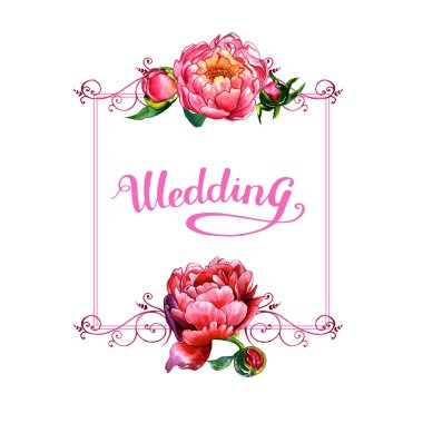 Kır çiçeği Şakayık çiçeği çerçeve izole bir suluboya tarzında.