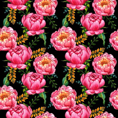 Kır çiçeği peony çiçek deseni izole bir suluboya tarzında.