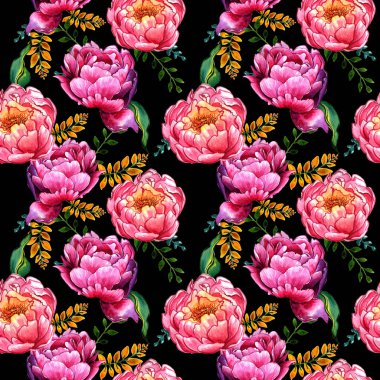 Kır çiçeği peony çiçek deseni izole bir suluboya tarzında.