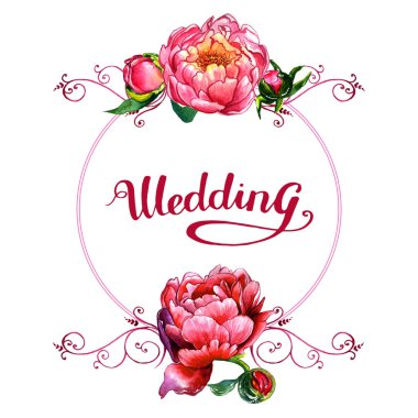 Kır çiçeği Şakayık çiçeği çerçeve izole bir suluboya tarzında.