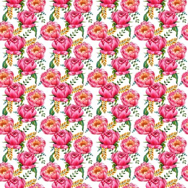 Kır çiçeği peony çiçek deseni izole bir suluboya tarzında.