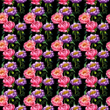 Kır çiçeği peony çiçek deseni izole bir suluboya tarzında.