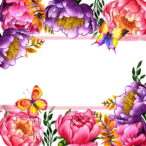 Дика квіткова рамка півонії в акварельному стилі ізольована . — стокове фото