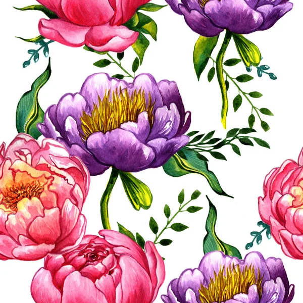 Wildflower peony bloemenpatroon in een aquarel stijl geïsoleerd. — Stockfoto