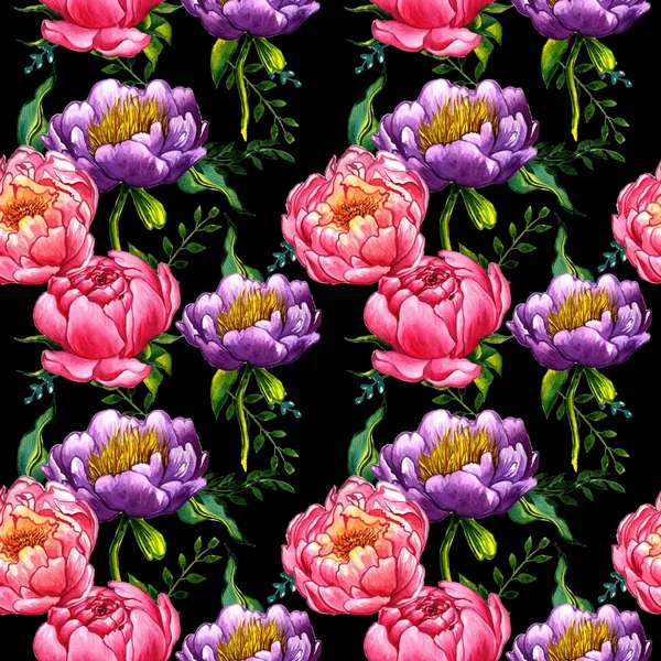 Wildflower peony flower pattern in a watercolor style isolated. — Stock Photo, Image