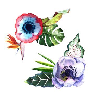 Tropikal Hawaii palmiye ağacı izole bir suluboya tarzında bırakır..