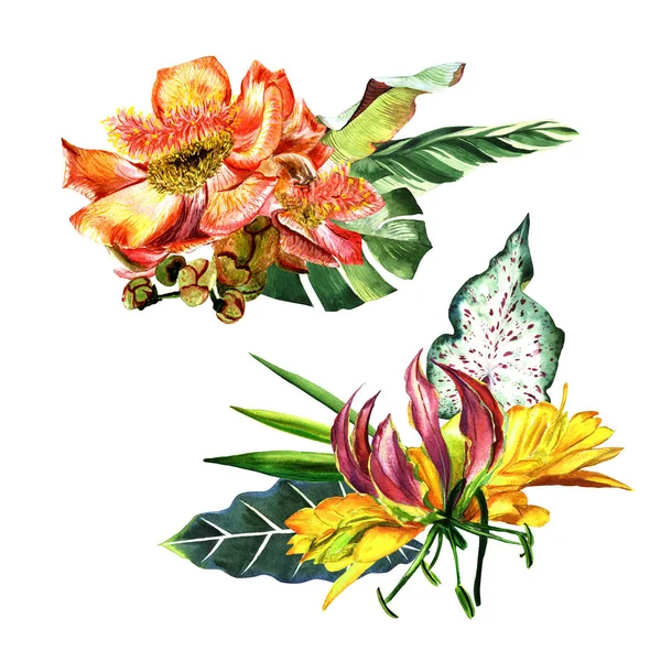 Тропічний Гаваї листя дерево пальми у аквареллю стиль ізольовані. — стокове фото