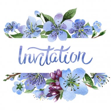 Kır çiçeği kiraz çiçek çerçeve izole bir suluboya tarzında.