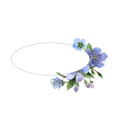 Kır çiçeği kiraz çiçek çerçeve izole bir suluboya tarzında.