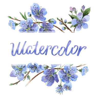 Kır çiçeği kiraz çiçek çerçeve izole bir suluboya tarzında.