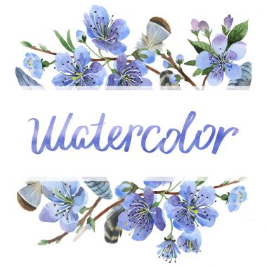 Kır çiçeği kiraz çiçek çerçeve izole bir suluboya tarzında.