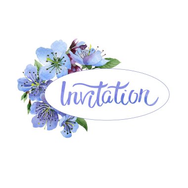 Kır çiçeği kiraz çiçek çerçeve izole bir suluboya tarzında.