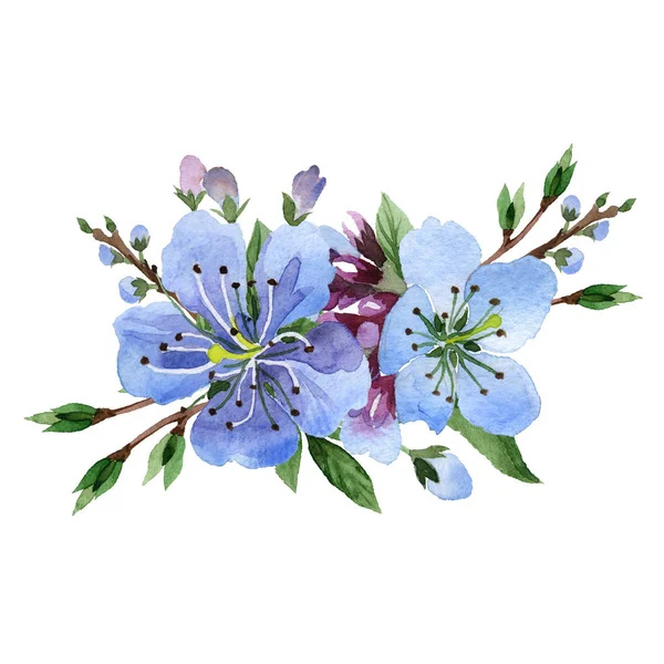 Wildflower wiśni kwiat w stylu przypominającym akwarele na białym tle. — Zdjęcie stockowe