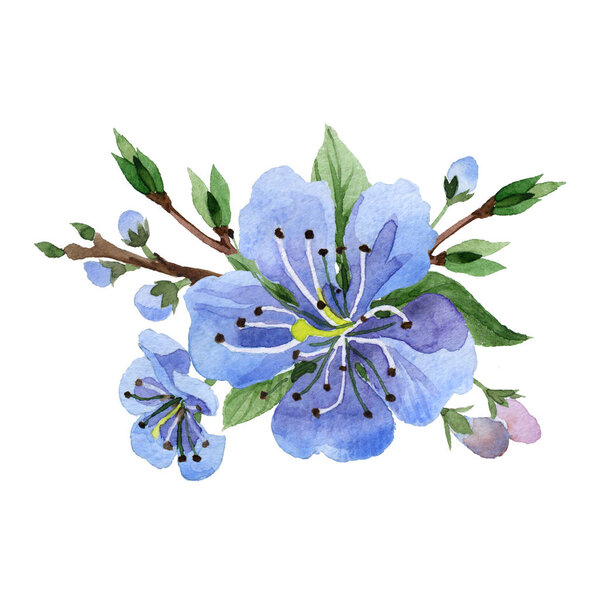 Wildflower cherry flower in a watercolor style isolated.