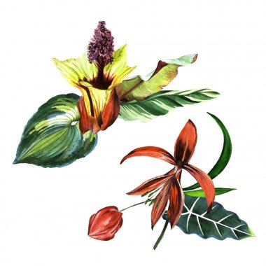 Tropikal Hawaii palmiye ağacı izole bir suluboya tarzında bırakır..