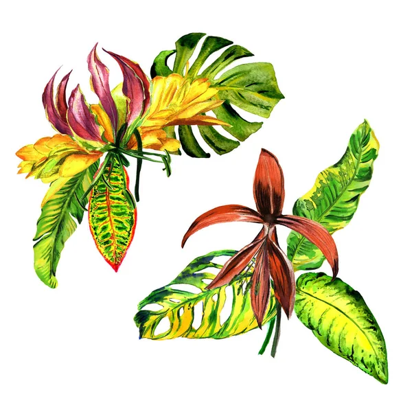 熱帯のハワイが分離された水彩画のヤシの木を葉します。. — ストック写真