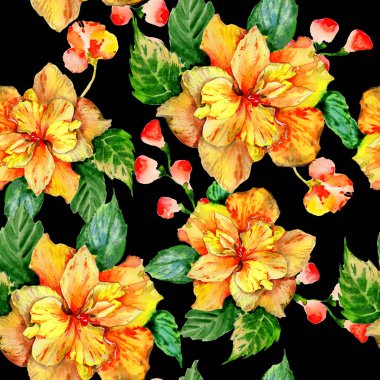 Kır çiçeği hibiscus çiçek deseni izole bir suluboya tarzında.