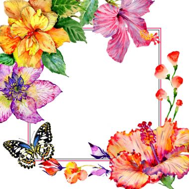 Kır çiçeği hibiscus çiçek çerçeve izole bir suluboya tarzında.