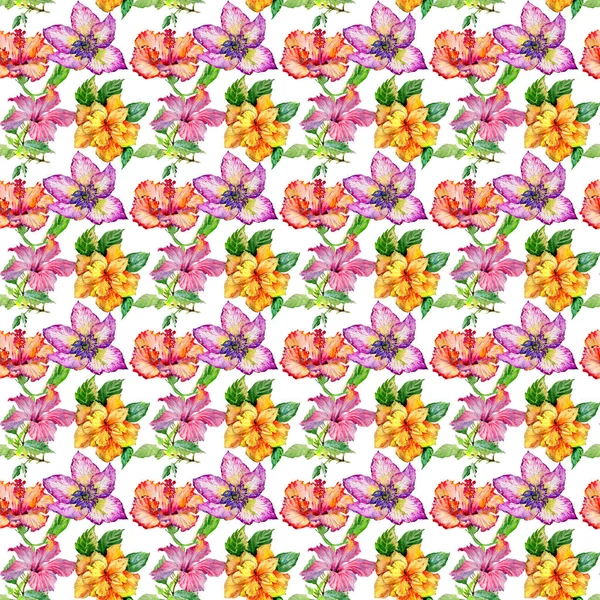 Wildflower hibiscus flower pattern in a watercolor style isolated. — Stock Photo, Image