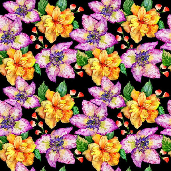 Wildflower hibiscus flower pattern in a watercolor style isolated. — Stock Photo, Image