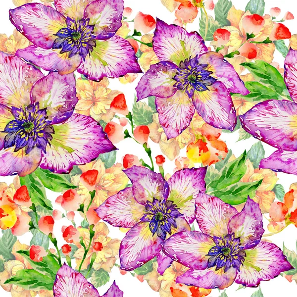 Wildflower Ιβίσκος λουλούδι μοτίβο σε στυλ υδροχρώματος απομονωμένες. — Φωτογραφία Αρχείου