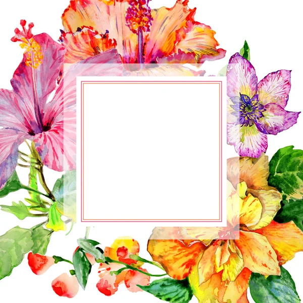 Kır çiçeği hibiscus çiçek çerçeve izole bir suluboya tarzında.