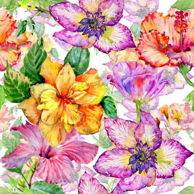 Kır çiçeği hibiscus çiçek deseni izole bir suluboya tarzında.