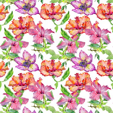 Kır çiçeği hibiscus çiçek deseni izole bir suluboya tarzında.