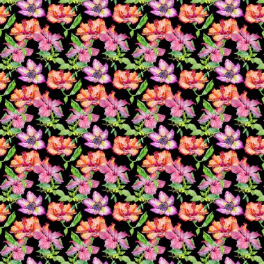 Kır çiçeği hibiscus çiçek deseni izole bir suluboya tarzında.