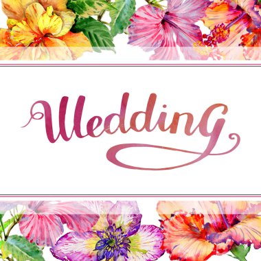 Kır çiçeği hibiscus çiçek çerçeve izole bir suluboya tarzında.